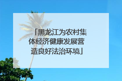 黑龙江为农村集体经济健康发展营造良好法治环境