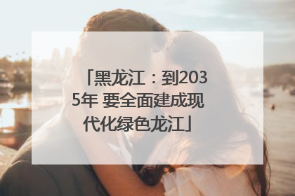 黑龙江：到2035年 要全面建成现代化绿色龙江