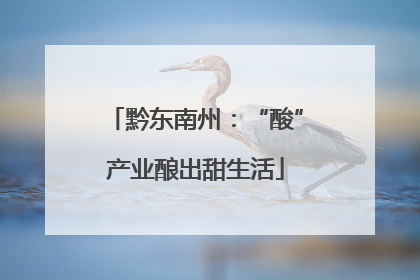 黔东南州：“酸”产业酿出甜生活