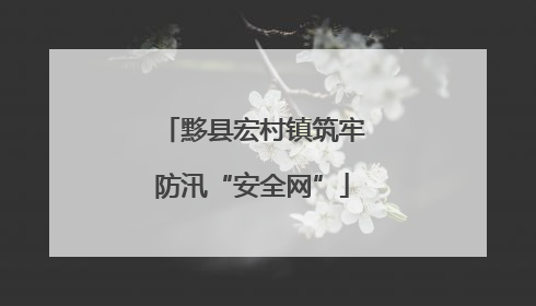 黟县宏村镇筑牢防汛“安全网”