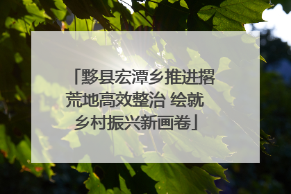 黟县宏潭乡推进撂荒地高效整治 绘就乡村振兴新画卷