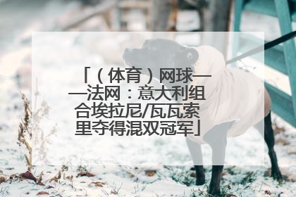 （体育）网球——法网：意大利组合埃拉尼/瓦瓦索里夺得混双冠军