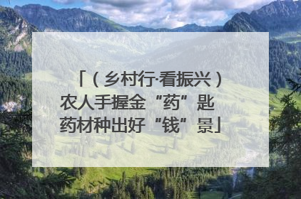 （乡村行·看振兴）农人手握金“药”匙 药材种出好“钱”景