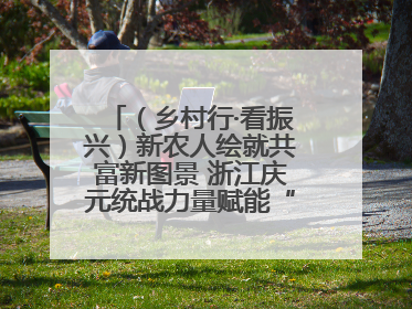 （乡村行·看振兴）新农人绘就共富新图景 浙江庆元统战力量赋能“海拔经济”