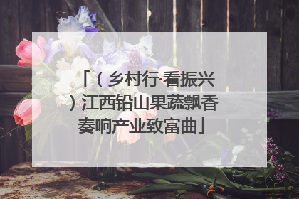 （乡村行·看振兴）江西铅山果蔬飘香 奏响产业致富曲
