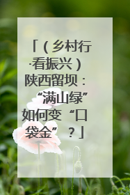 （乡村行·看振兴）陕西留坝：“满山绿”如何变“口袋金”？