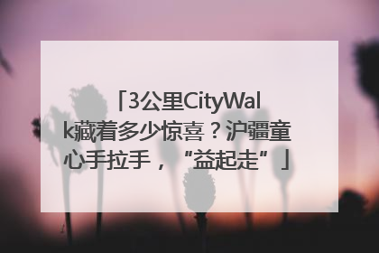 3公里CityWalk藏着多少惊喜？沪疆童心手拉手，“益起走”