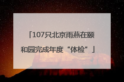 107只北京雨燕在颐和园完成年度“体检”