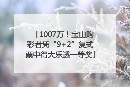 1007万！宝山购彩者凭“9+2”复式票中得大乐透一等奖