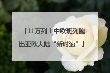 11万列！中欧班列跑出亚欧大陆“新时速”