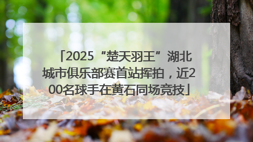 2025“楚天羽王”湖北城市俱乐部赛首站挥拍，近200名球手在黄石同场竞技