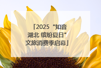 2025“知音湖北 缤纷夏日”文旅消费季启幕