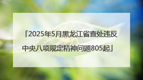 2025年5月黑龙江省查处违反中央八项规定精神问题805起