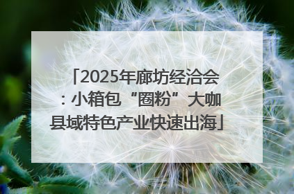 2025年廊坊经洽会：小箱包“圈粉”大咖 县域特色产业快速出海