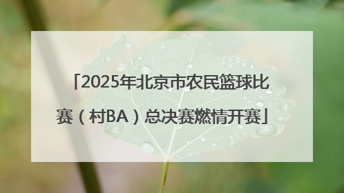 2025年北京市农民篮球比赛（村BA）总决赛燃情开赛