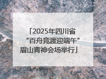 2025年四川省“百舟竞渡迎端午”眉山青神会场举行