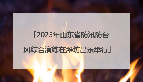 2025年山东省防汛防台风综合演练在潍坊昌乐举行