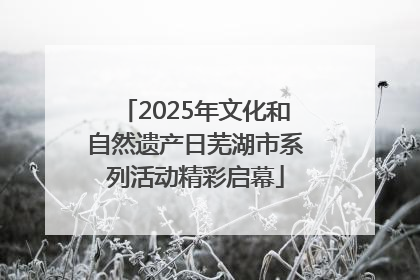2025年文化和自然遗产日芜湖市系列活动精彩启幕