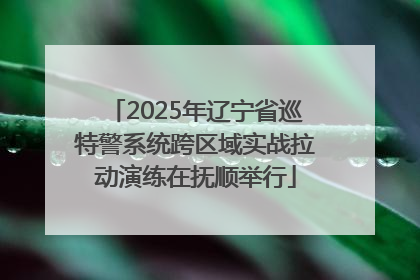 2025年辽宁省巡特警系统跨区域实战拉动演练在抚顺举行