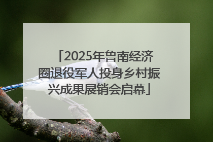 2025年鲁南经济圈退役军人投身乡村振兴成果展销会启幕
