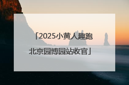 2025小黄人趣跑北京园博园站收官
