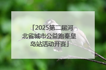 2025第二届河北省城市公益跑秦皇岛站活动开赛