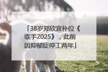 38岁郑欣宜补位《歌手2025》，此前因抑郁症停工两年