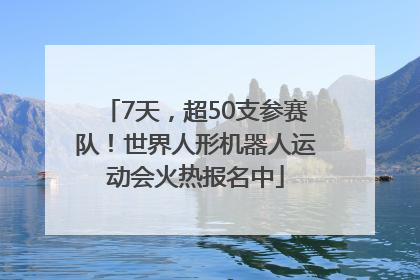 7天，超50支参赛队！世界人形机器人运动会火热报名中