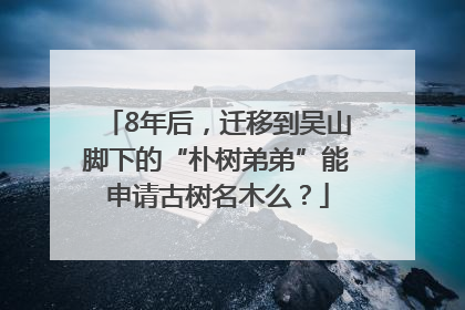 8年后，迁移到吴山脚下的“朴树弟弟”能申请古树名木么？