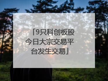 9只科创板股今日大宗交易平台发生交易
