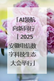 AI领航 向新同行丨2025安徽电信数字科技生态大会举行