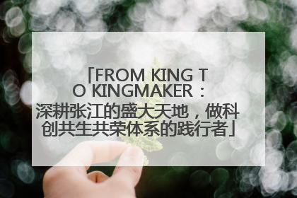 FROM KING TO KINGMAKER：深耕张江的盛大天地，做科创共生共荣体系的践行者