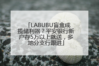 LABUBU盲盒成揽储利器？平安银行新户存5万以上就送，多地分支行跟进
